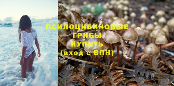 МДПВ Абаза
