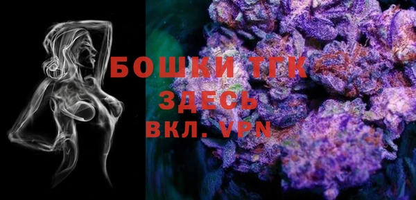 МДПВ Абаза