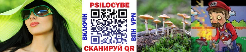 наркошоп  Ростов-на-Дону  Псилоцибиновые грибы Magic Shrooms 