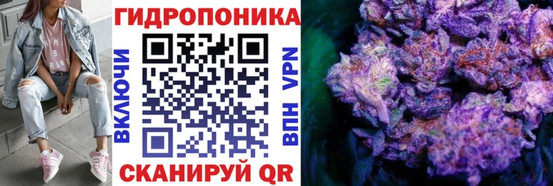 наркота  Ростов-на-Дону  Каннабис Amnesia 